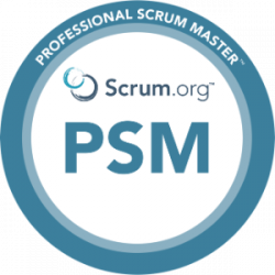 PSM 300px PSM Logo