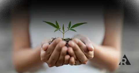 RA000161 Agile Manager Helps Grow a Team 480x252 png